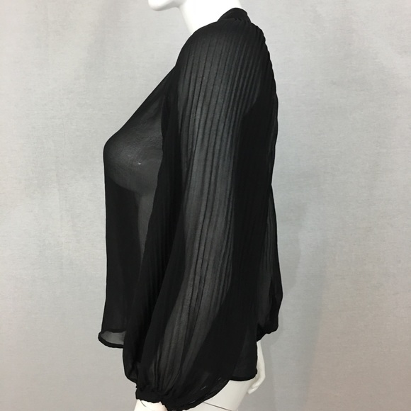 SOLD Sz Small Zara Sheer V-Neck Long Sleeve Blouse - Picture 5 of 8